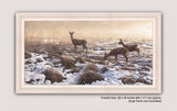 White framed print of roe deer in snow