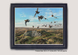 Grey and Silver framed print of red grouse in flight