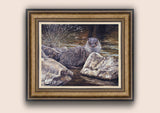 Bronze framed young otter print by Martin Ridley