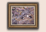 Bronze framed sea pinks and puffin print