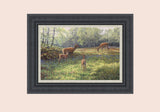 Framed canvas print - red deer calves and hinds in bluebells