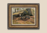 Framed print of badgers playing by Martin Ridley