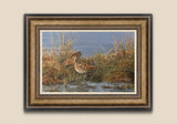 Bronze framed snipe pair canvas print