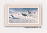 White framed print of running blue hares n snow