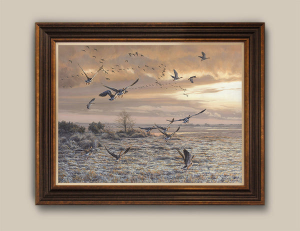 Atmospheric Print Of Greylag Geese Taking Off At Sunrise – Aquila Art